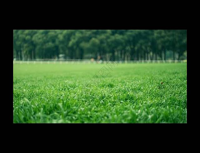 FARM FOR SALE IN TARLTON